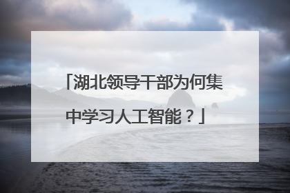 湖北领导干部为何集中学习人工智能？