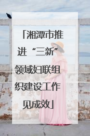 湘潭市推进“三新”领域妇联组织建设工作见成效