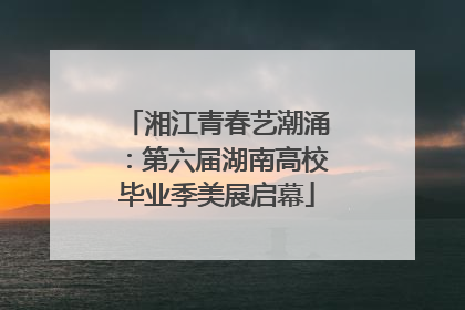 湘江青春艺潮涌：第六届湖南高校毕业季美展启幕