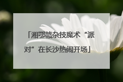 湘鄂赣杂技魔术“派对”在长沙热闹开场