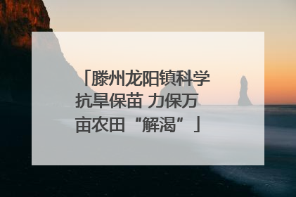 滕州龙阳镇科学抗旱保苗 力保万亩农田“解渴”