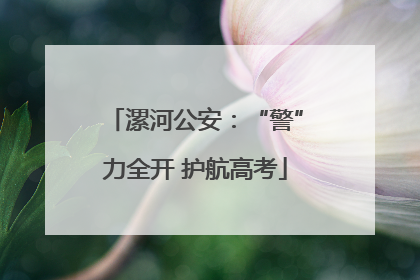 漯河公安：“警”力全开 护航高考