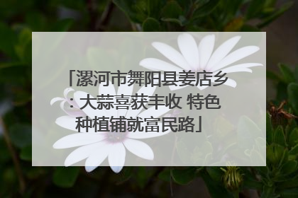 漯河市舞阳县姜店乡：大蒜喜获丰收 特色种植铺就富民路