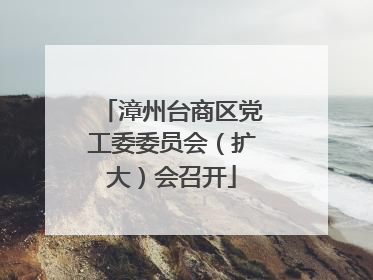 漳州台商区党工委委员会（扩大）会召开