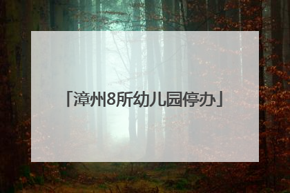 漳州8所幼儿园停办