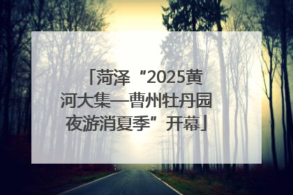 菏泽“2025黄河大集—曹州牡丹园夜游消夏季”开幕