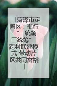 菏泽市定陶区：推行“一统领 三统筹” 跨村联建模式 带动片区共同富裕