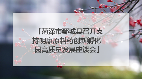 菏泽市鄄城县召开支持明康原料药创新孵化园高质量发展座谈会
