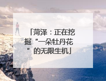 菏泽：正在挖掘“一朵牡丹花”的无限生机