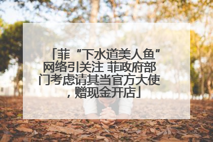 菲“下水道美人鱼”网络引关注 菲政府部门考虑请其当官方大使，赠现金开店