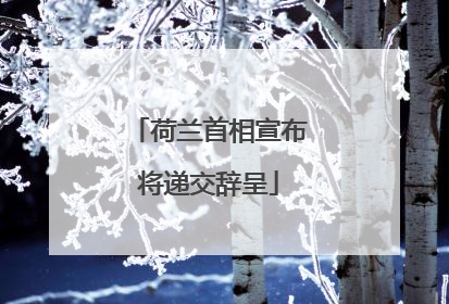 荷兰首相宣布将递交辞呈