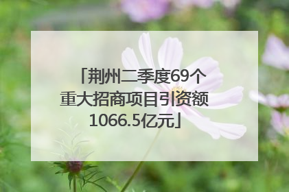 荆州二季度69个重大招商项目引资额1066.5亿元