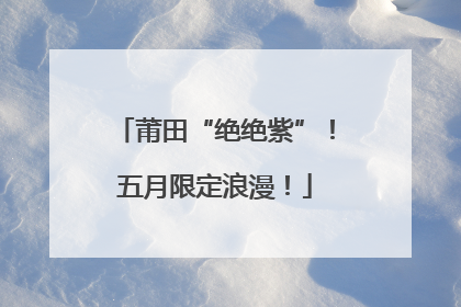 莆田“绝绝紫”！五月限定浪漫！