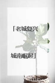 老城复兴 城南崛起