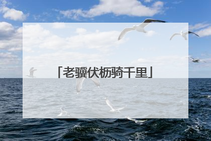 老骥伏枥骑千里
