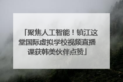 聚焦人工智能！镇江这堂国际虚拟学校视频直播课获韩美伙伴点赞
