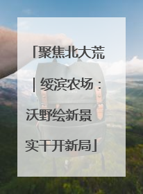 聚焦北大荒｜绥滨农场：沃野绘新景 实干开新局