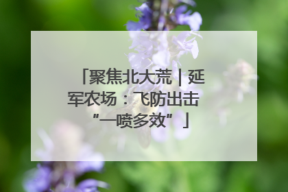 聚焦北大荒｜延军农场：飞防出击 “一喷多效”
