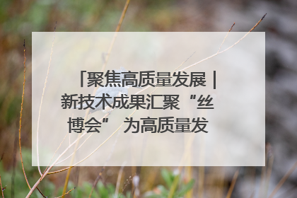 聚焦高质量发展｜新技术成果汇聚“丝博会” 为高质量发展注入新动能