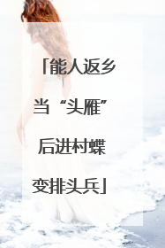 能人返乡当“头雁” 后进村蝶变排头兵