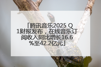 腾讯音乐2025 Q1财报发布，在线音乐订阅收入同比增长16.6%至42.2亿元