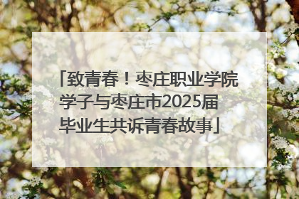 致青春！枣庄职业学院学子与枣庄市2025届毕业生共诉青春故事