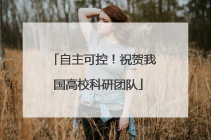 自主可控！祝贺我国高校科研团队