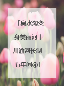臭水沟变身美丽河丨川渝河长制五年间④