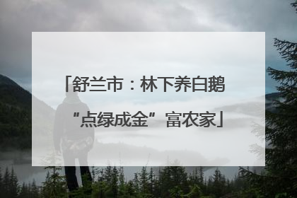 舒兰市：林下养白鹅 “点绿成金”富农家