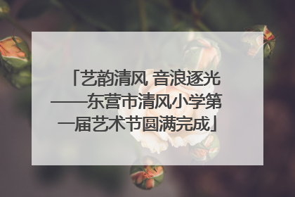 艺韵清风 音浪逐光——东营市清风小学第一届艺术节圆满完成