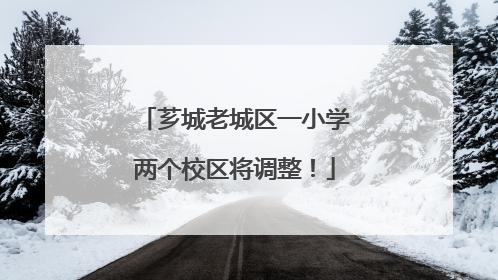 芗城老城区一小学两个校区将调整！
