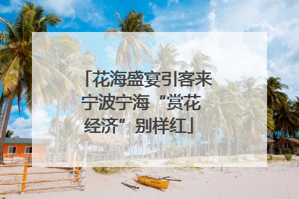 花海盛宴引客来 宁波宁海“赏花经济”别样红