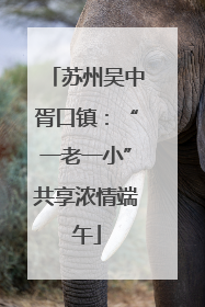 苏州吴中胥口镇：“一老一小”共享浓情端午