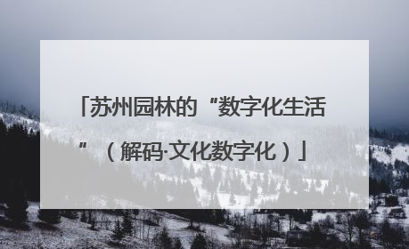 苏州园林的“数字化生活”（解码·文化数字化）