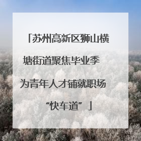 苏州高新区狮山横塘街道聚焦毕业季 为青年人才铺就职场“快车道”