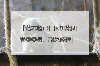 范志超已任国机集团党委委员、副总经理