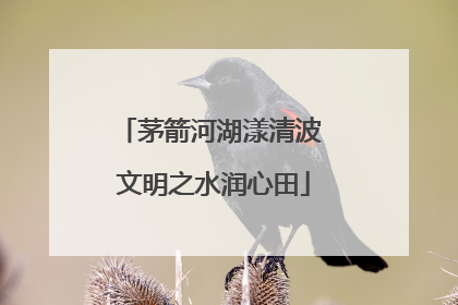 茅箭河湖漾清波 文明之水润心田