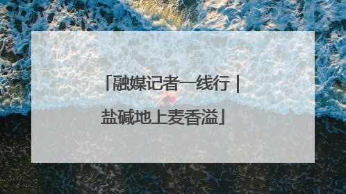 融媒记者一线行｜盐碱地上麦香溢