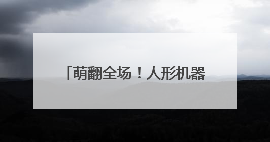 萌翻全场！人形机器人嘉年华开进花博汇