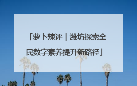 萝卜辣评｜潍坊探索全民数字素养提升新路径