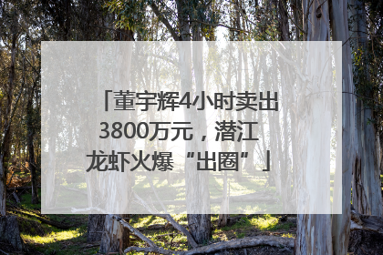 董宇辉4小时卖出3800万元，潜江龙虾火爆“出圈”