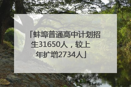 蚌埠普通高中计划招生31650人，较上年扩增2734人