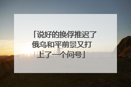 说好的换俘推迟了 俄乌和平前景又打上了一个问号