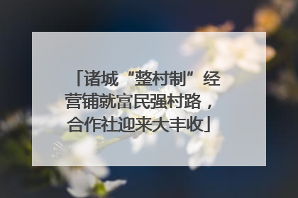 诸城“整村制”经营铺就富民强村路，合作社迎来大丰收