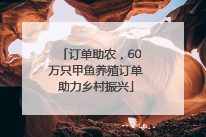 订单助农，60万只甲鱼养殖订单助力乡村振兴