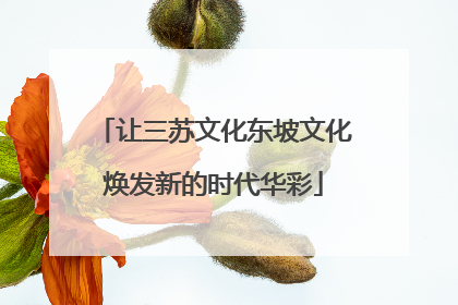 让三苏文化东坡文化焕发新的时代华彩