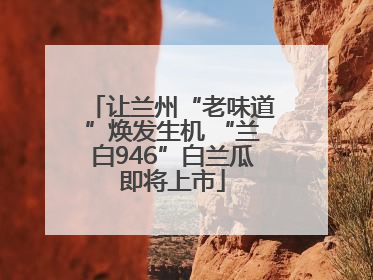 让兰州“老味道”焕发生机 “兰白946”白兰瓜即将上市