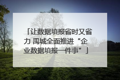 让数据填报省时又省力 禹城全面推进“企业数据填报一件事”