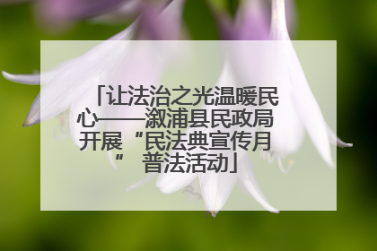 让法治之光温暖民心——溆浦县民政局开展“民法典宣传月” 普法活动