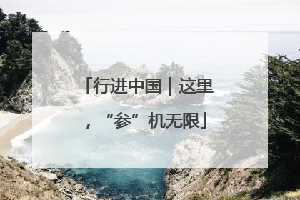 行进中国｜这里，“参”机无限